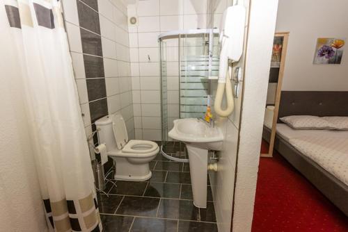 a bathroom with a toilet and a sink and a bed at Pansion San in Bihać