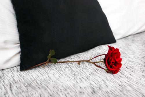 a red rose on a bed with a black pillow at Apartments Izvor in Vrdnik