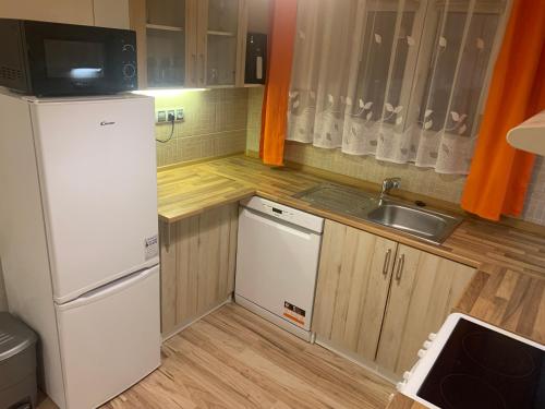 a small kitchen with a sink and a refrigerator at Apartmán Slunečnice s terasou in České Budějovice