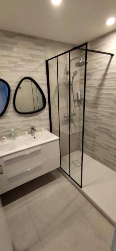 une salle de bain avec une douche, un lavabo et un miroir dans l'établissement Belle Vue Mer Canet Plage accès piscine couverte et chauffée, à Canet