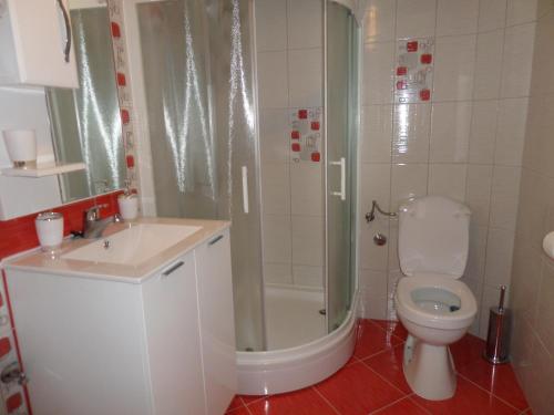 a bathroom with a toilet and a shower and a sink at Apartments Marina in Kotor