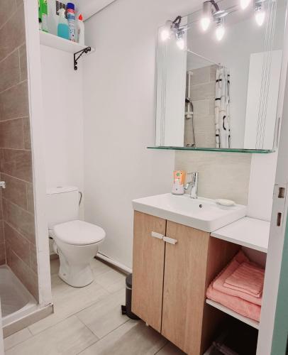 une salle de bain avec un lavabo, des toilettes et un miroir dans l'établissement Studio Cosy près du Lac, à Sainte-Croix-de-Verdon