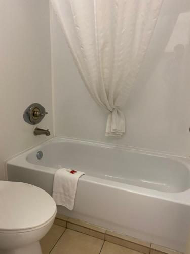 y baño con aseo y bañera con cortina. en Days Inn by Wyndham Brunswick/St. Simons Area, en Brunswick