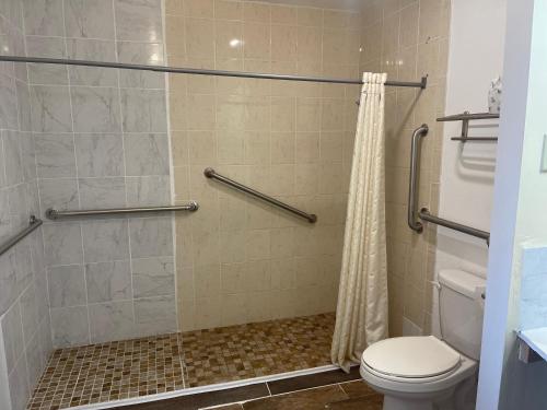 a bathroom with a shower and a toilet at Spring Valley Inn in Spring Valley