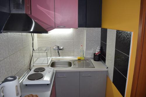 a small kitchen with a stove and a sink at Apartment Nika in Ohrid