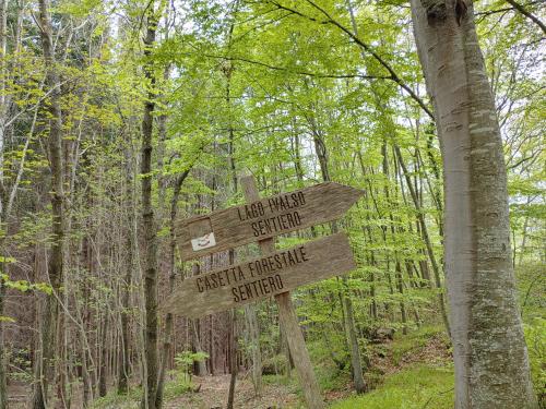 a sign in the middle of a forest at Locazione Turistica Arcobaleno "Family Loft" in Roccavivara