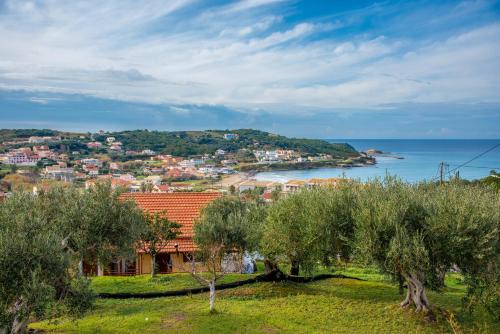 Elaionas Holiday Home studios and apartments