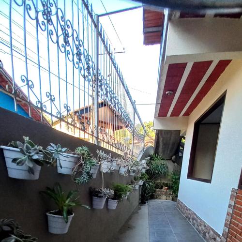 a hallway with potted plants on the side of a building at Pousada Girar do Sol in Nova Friburgo