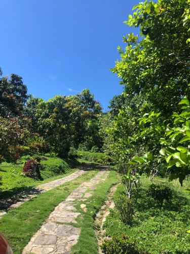 FINCA FILANDIA – Photos 3