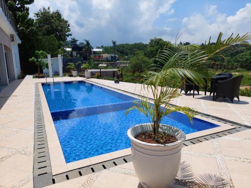 a potted plant sitting next to a swimming pool at Garden House Jepara in Jepara