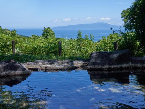 a pool of water with the ocean in the background at Hotel Village Izukogen in Ito