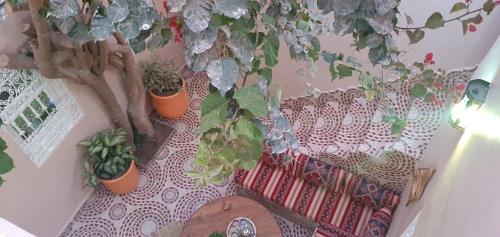 Giardino di Surf Riad Taghazout