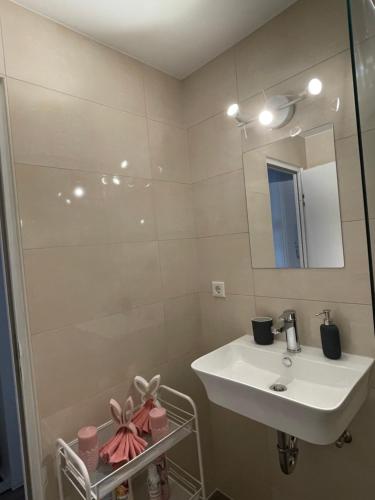 ein Bad mit einem Waschbecken und einem Spiegel in der Unterkunft Central Cosy Apartment in Cologne in Köln