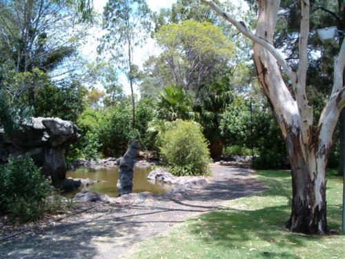 a garden with a pond and a tree at Dalby Manor Motor Inn in Dalby