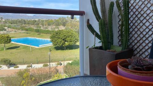 Fotografia z galérie ubytovania Apartamento Cabo de Gata-Toyo v destinácii Retamar