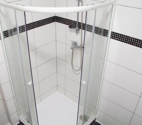 a shower with a glass door in a bathroom at Apartment Porta in Terezín