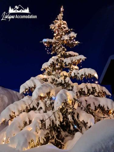 Το Alpen Royal by Livigno Accomodation τον χειμώνα