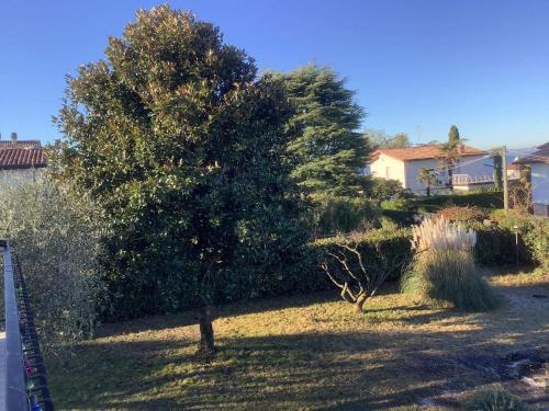 Κήπος έξω από το Villa La Magnolia - Private Beach Access, Garden, Views