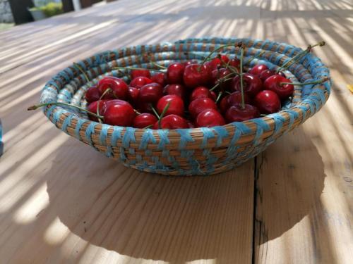 Billede fra billedgalleriet på Masseria La Gatta Matta i Noci