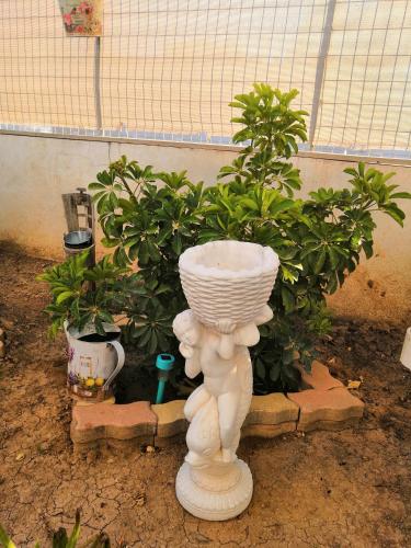 Ein Garten an der Unterkunft Zahner studio