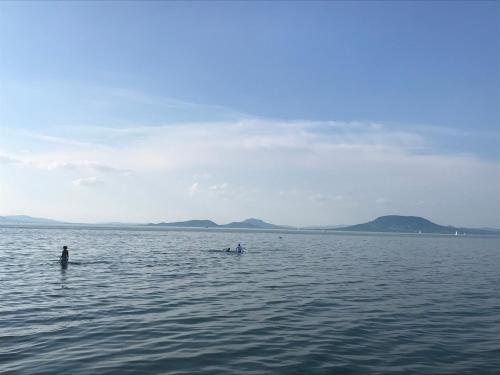 two people in a large body of water at Famvarga Apartmanház in Balatonfenyves