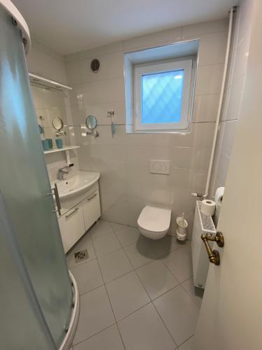 a bathroom with a toilet and a sink and a window at Kunstelj Pension in Radovljica