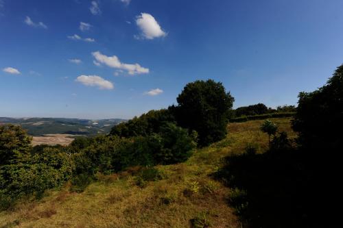 a grassy hill with trees and a blue sky at Hotel Foresteria in Volterra
