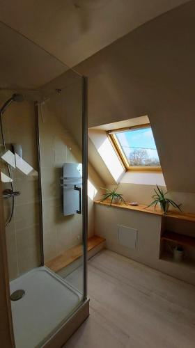 a attic bathroom with a shower and a window at L'Oustaou du Bodo in Ambon