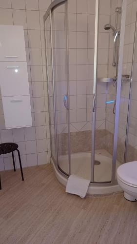 a shower in a bathroom with a toilet at Landhaus Schlossberg in Medebach