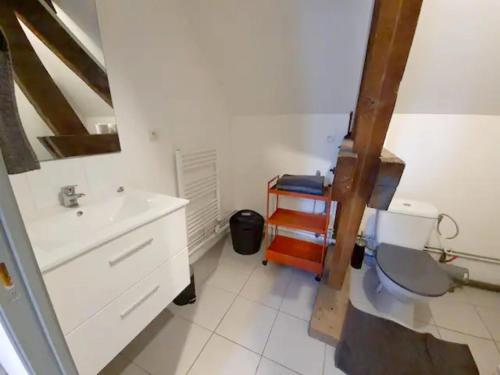 uma casa de banho com um lavatório e um WC em Appartement d'une chambre avec wifi a Beaugency em Beaugency