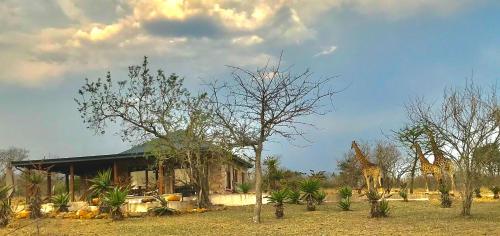 Zahrada ubytování Mkhiweni 3 Bedroom Villa at Dombeya Wildlife Estate