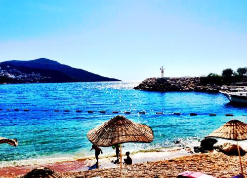 Phong cảnh thiên nhiên gần biệt thự
