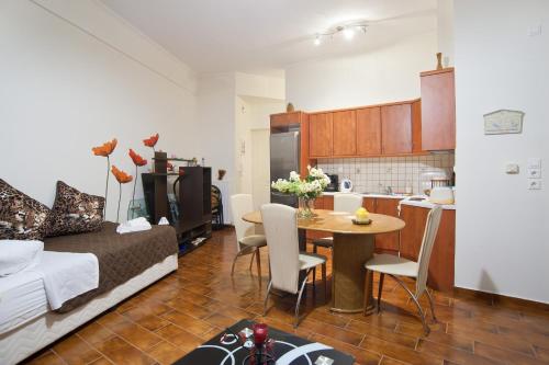 Kuchyňa alebo kuchynka v ubytovaní Athina apartment Delphi