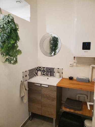une salle de bain avec un lavabo et un miroir au mur dans l'établissement 