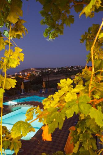a view of a swimming pool through the leaves of a tree at Oasis Scaleta Hotel in Skaleta