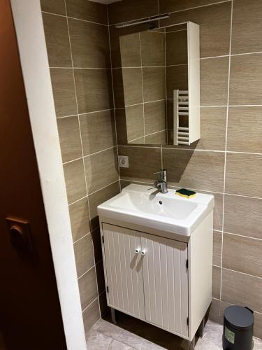 un baño con lavabo y espejo en APPARTEMENT CAROMB proche Mont VENTOUX avec clim, en Caromb