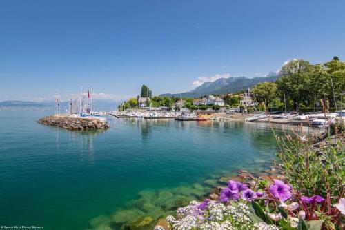 Blick auf einen Körper mit Blumen in der Unterkunft Votre studio balnéo bien-être à la montagne in Thollon