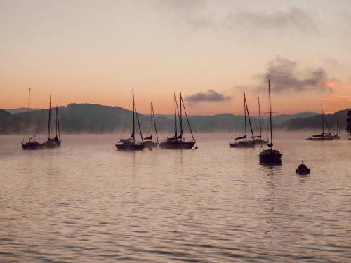a group of sailboats in the water at sunset at Hotel Parks in Velden am Wörthersee