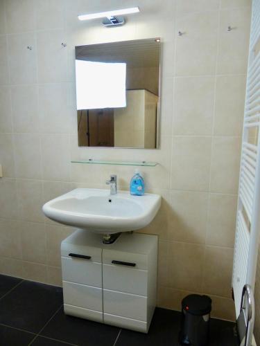 a bathroom with a sink and a mirror at Petten Beach 17 in Petten