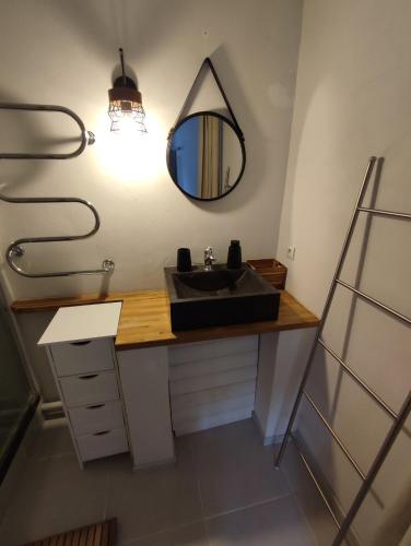 une salle de bain avec un lavabo et un miroir au mur dans l'établissement Au Jardin de la Marquetterie, à Cigogné