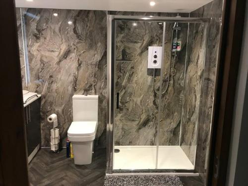 a bathroom with a glass shower with a toilet at Lovely detached garden chalet in Broadstone