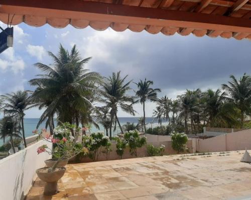 a view of the beach from a patio with palm trees at Vista pro mar maravilhosa,Tibau-RN in Tibau
