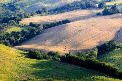 an aerial view of a field with animals grazing at Agriturismo Fara in Montegiorgio