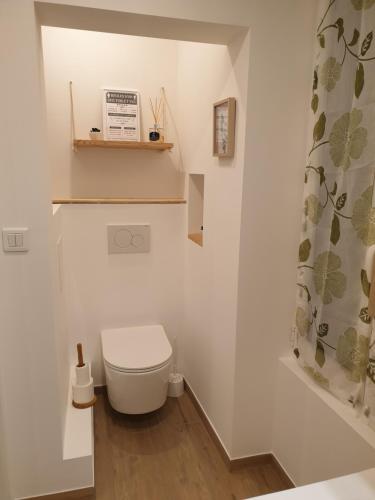 une salle de bain avec toilettes et rideau de douche dans l'établissement Charmant studio avec coin nuit - vieille ville CLIMATISE, à Menton