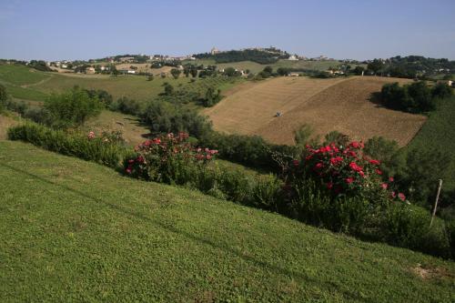 a green hillside with flowers and bushes on it at Agriturismo Fara in Montegiorgio