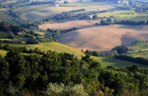 a view of the rolling hills and trees at Agriturismo Fara in Montegiorgio
