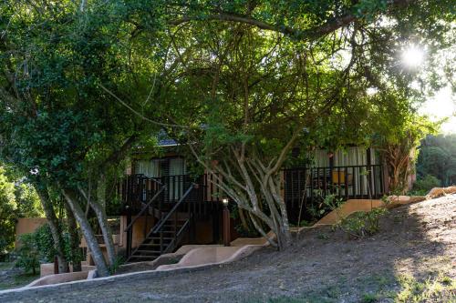 a house with a staircase in front of a tree at Gooderson Knysna Chalets in Knysna