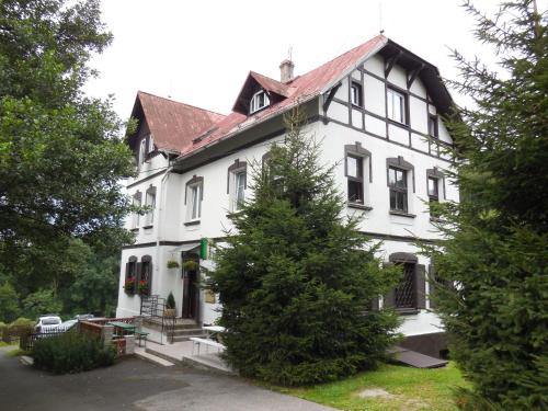 a white house with a tree in front of it at Penzion Braun in Rybniště