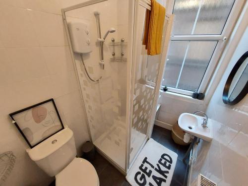 a bathroom with a shower and a toilet and a sink at Allars Bank Apartment in Hawick