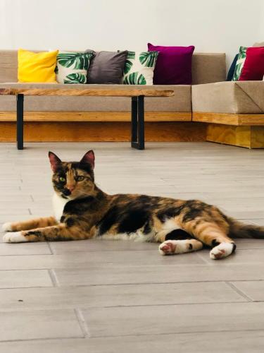 Casa Beita – Photos 2